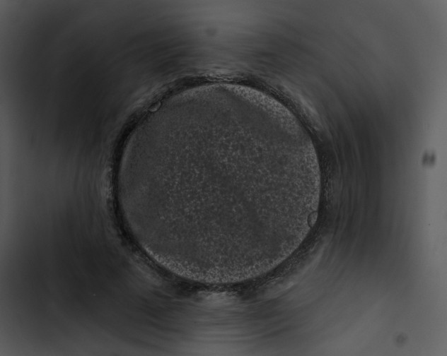 X0000102830689200809081155