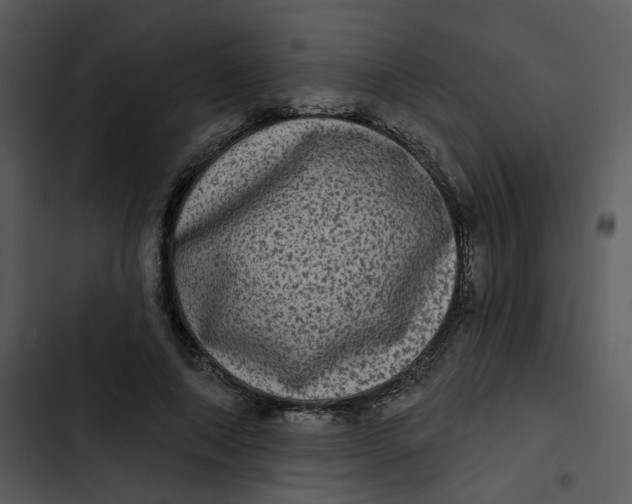 X0000102830690200809081155