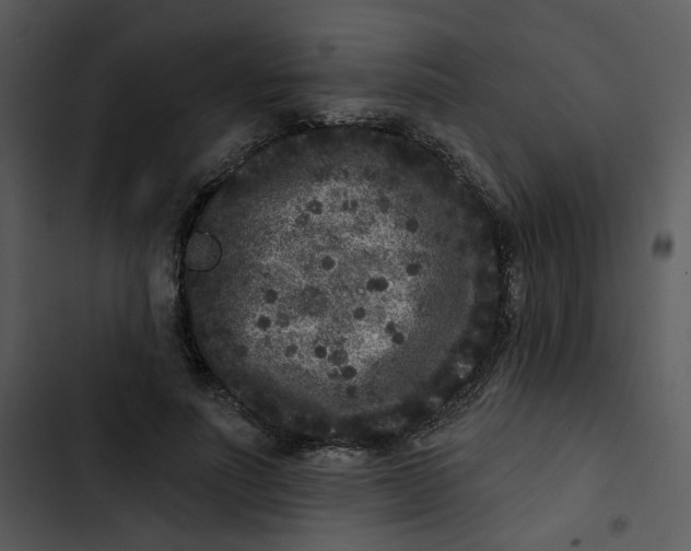 X0000102830691200809081155