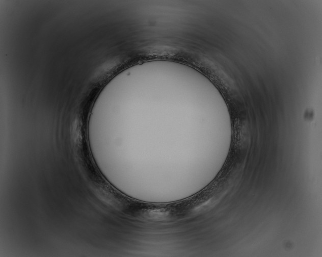X0000102830692200809081155