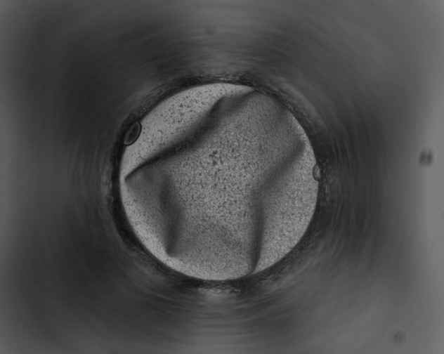 X0000102830693200809081155