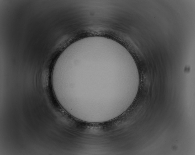 X0000102830694200809081155