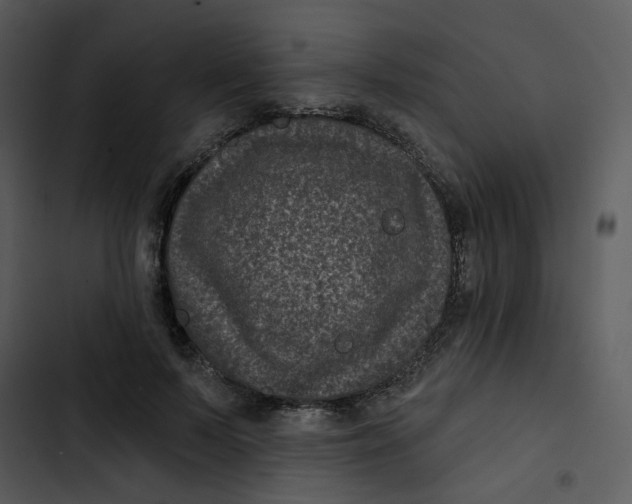 X0000102830695200809081155