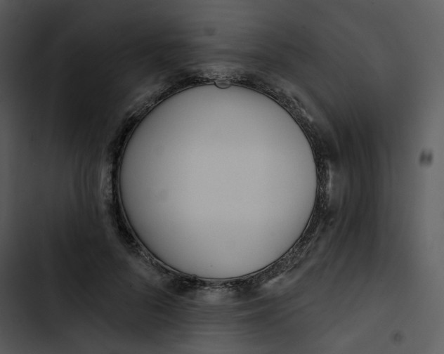 X0000102830696200809081155