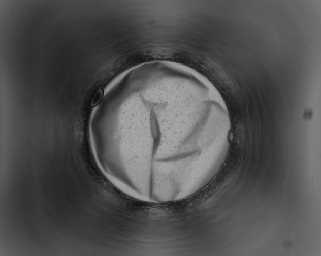 X0000102830697200809081155