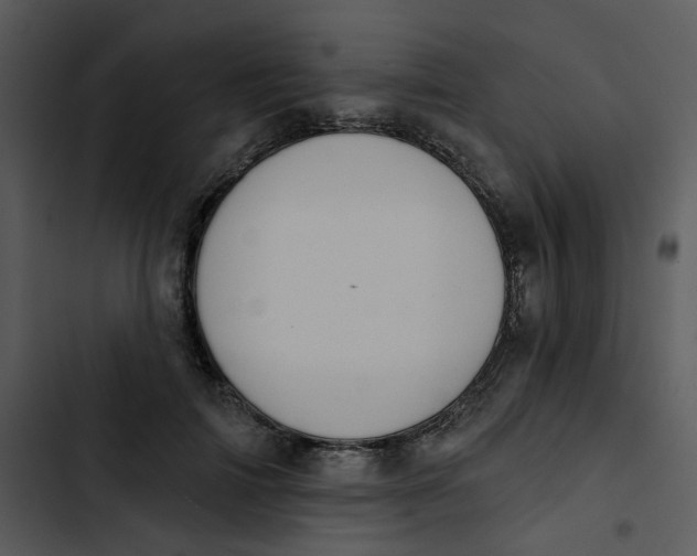 X0000102830698200809081155