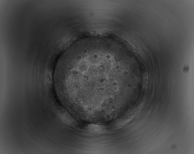 X0000102830699200809081155