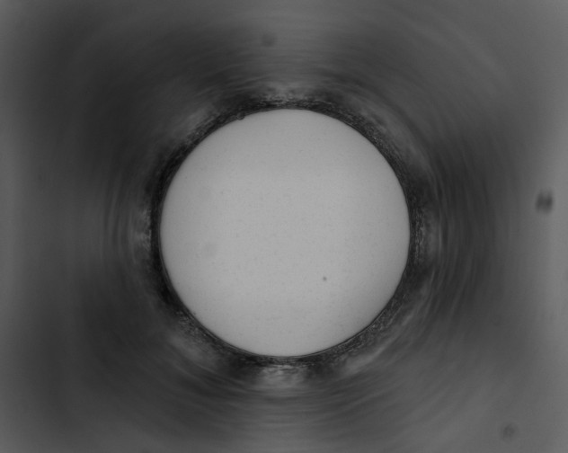 X0000102830700200809081155