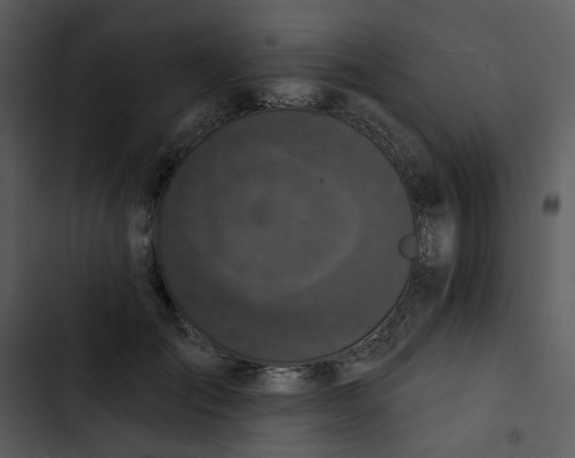X0000102830701200809081155