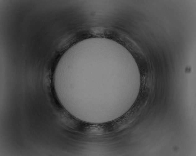 X0000102830702200809081155