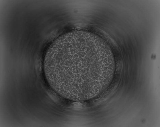 X0000102830703200809081155
