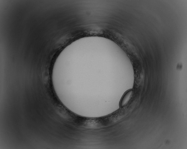 X0000102830704200809081155