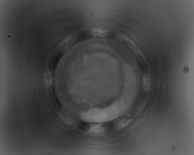 X0000102830705200809081155