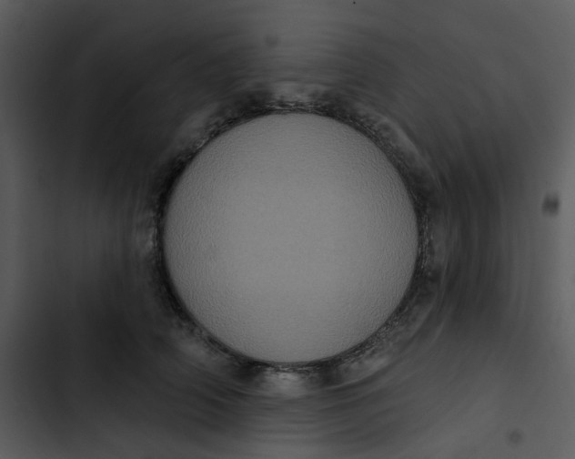 X0000102830706200809081155