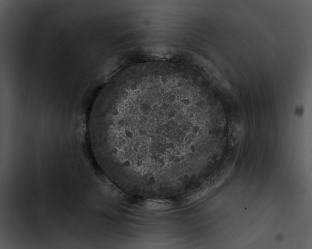 X0000102830707200809081155