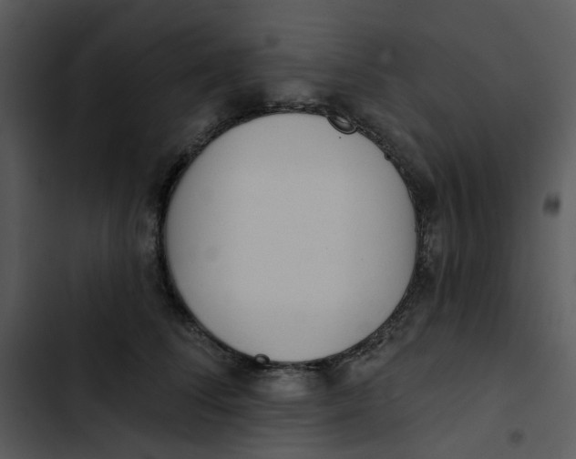 X0000102830708200809081155