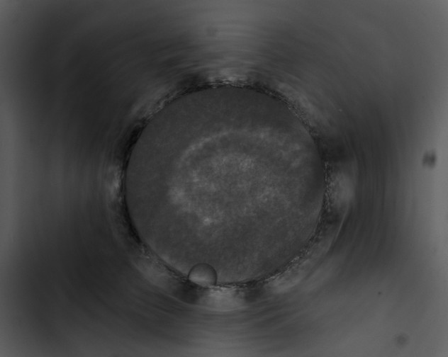 X0000102830709200809081155