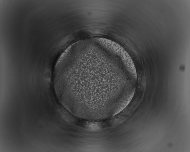 X0000102830710200809081155