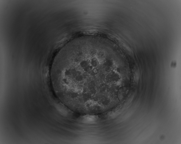X0000102830711200809081155