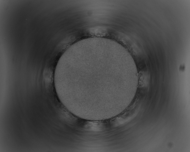 X0000102830713200809081155