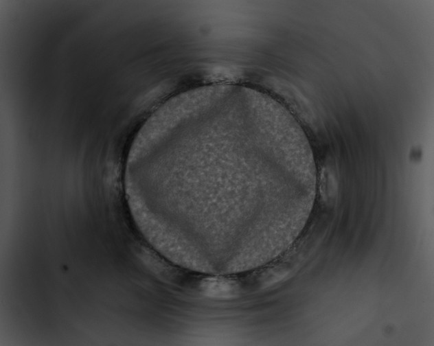 X0000102830714200809081155