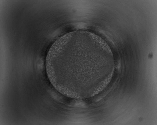 X0000102830715200809081155