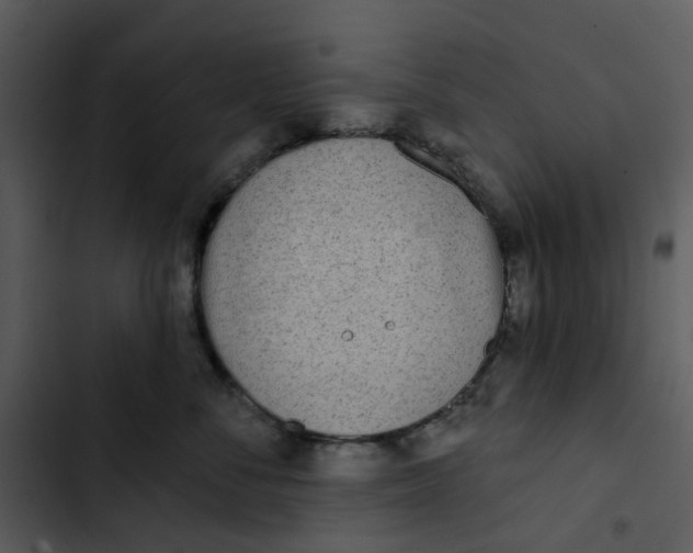 X0000102830716200809081155