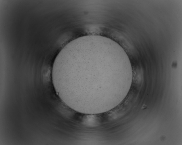 X0000102830717200809081155