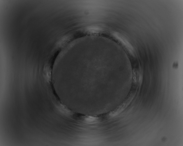 X0000102830718200809081155