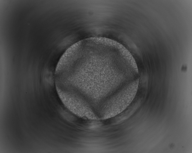 X0000102830719200809081155