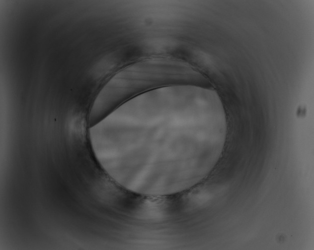 X0000102830720200809081155