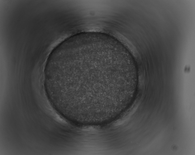 X0000102830721200809081154