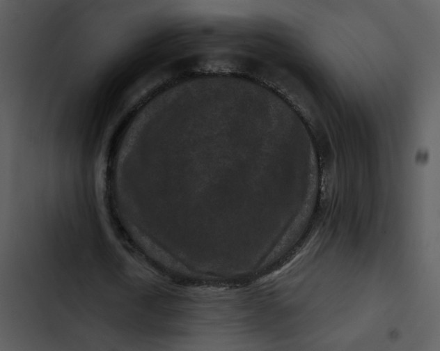 X0000102830722200809081154