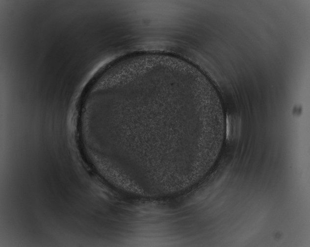 X0000102830723200809081154