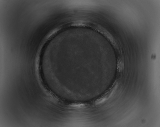 X0000102830724200809081154