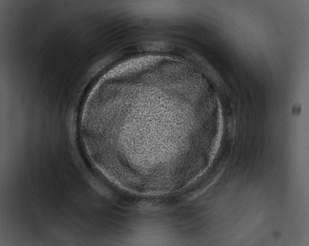 X0000102830725200809081154