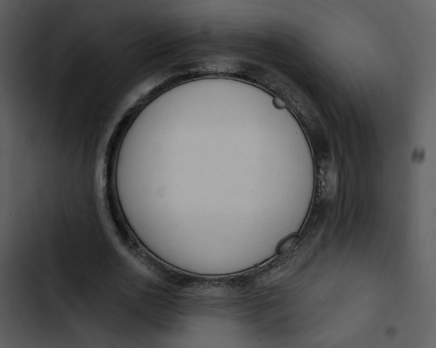 X0000102830726200809081154