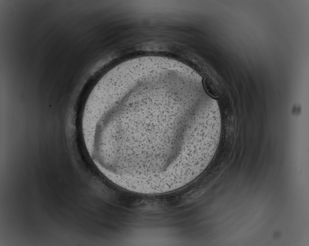 X0000102830727200809081154