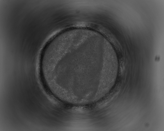 X0000102830728200809081154