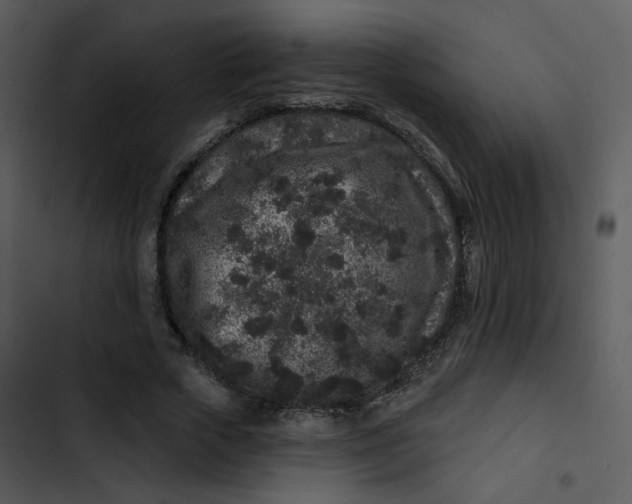 X0000102830729200809081154