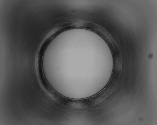 X0000102830730200809081154