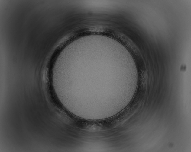 X0000102830731200809081154