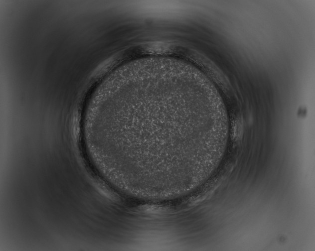 X0000102830733200809081154