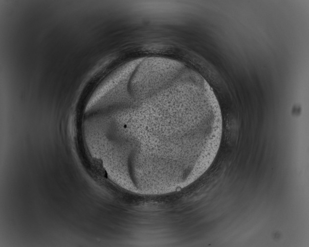 X0000102830734200809081154