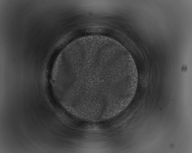 X0000102830735200809081154