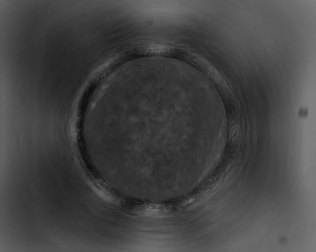 X0000102830736200809081154