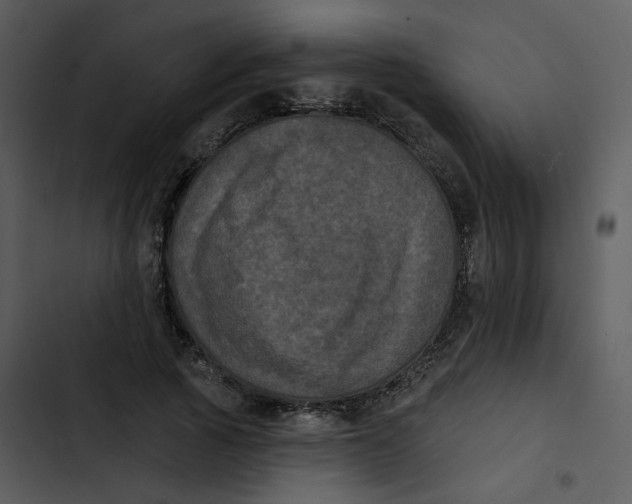 X0000102830737200809081154