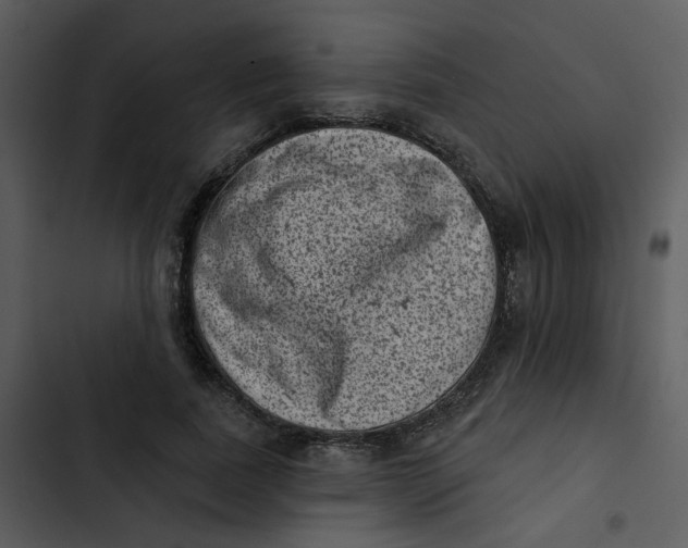 X0000102830739200809081154