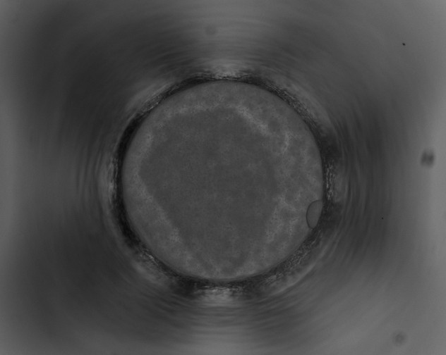 X0000102830740200809081154