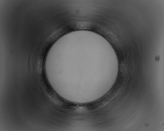 X0000102830741200809081154